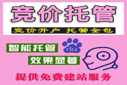 案例解析：网络推广竞价策略